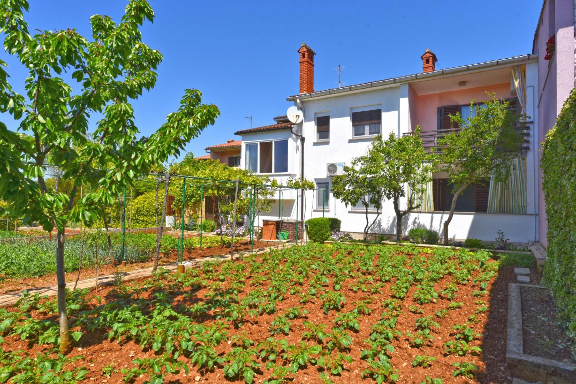 Apartments Nevina 1230 Pola Esterno foto
